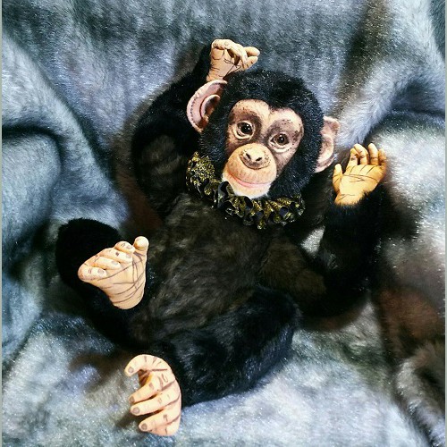 チンパンジー baby 海外作家